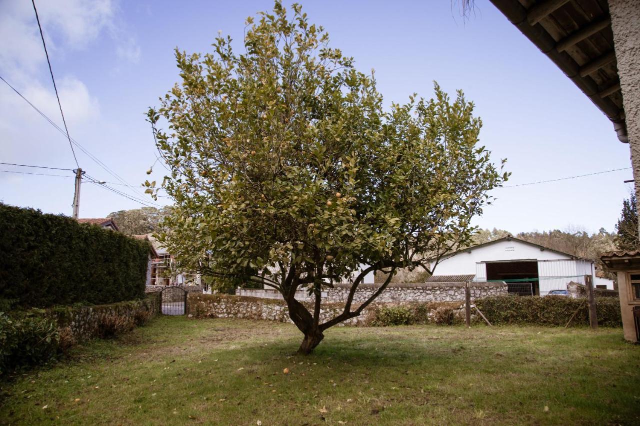 El Vallau Villa Balmori Exterior photo